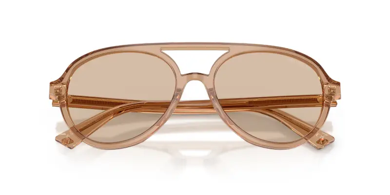 Jimmy Choo Occhiali da sole Donna Marrone 2912498 miniatura 2