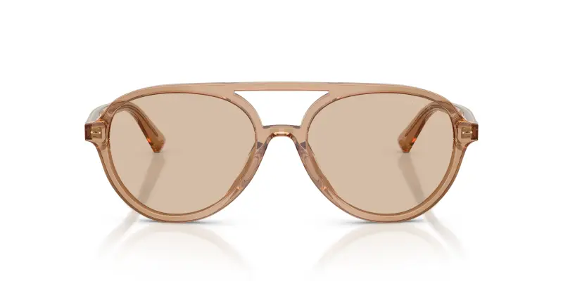 Jimmy Choo Occhiali da sole Donna Marrone 2912498 miniatura 3