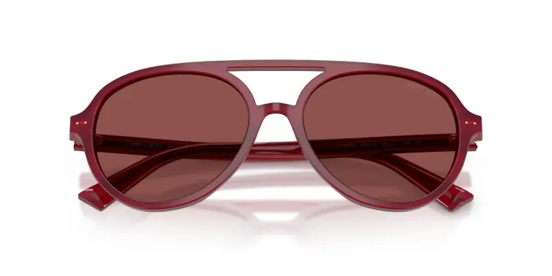 Jimmy Choo Occhiali da sole Donna Rosso 2912888 miniatura 2