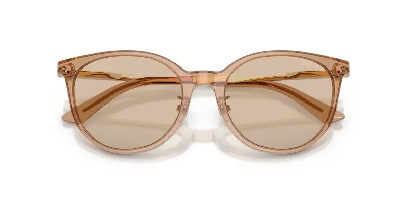 Jimmy Choo Occhiali da sole Donna Marrone 2912497 miniatura 2