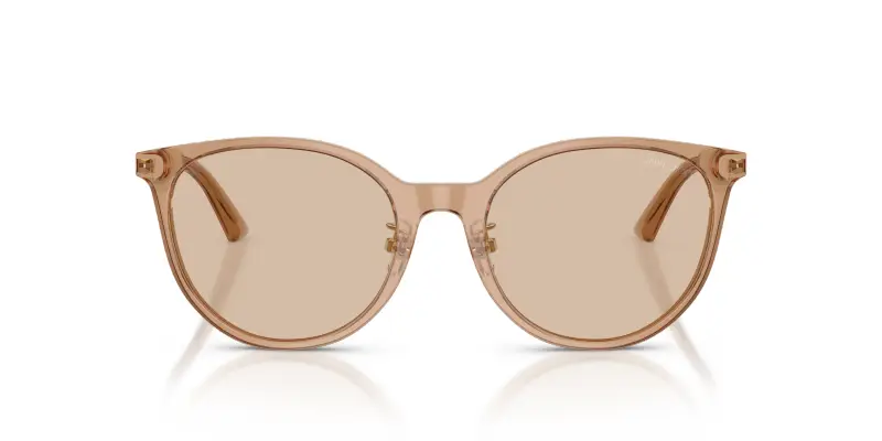 Jimmy Choo Occhiali da sole Donna Marrone 2912497 miniatura 3