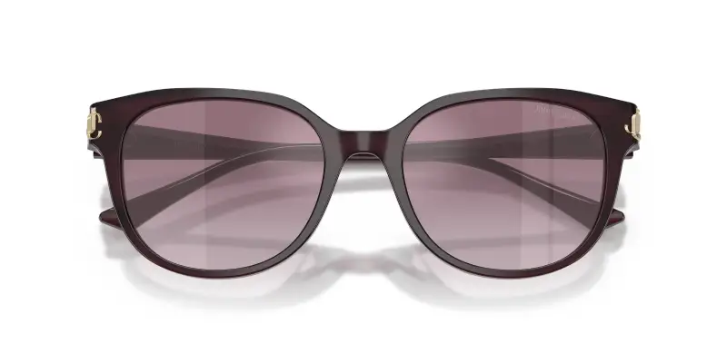Jimmy Choo Occhiali da sole Donna Viola 2913118 miniatura 2