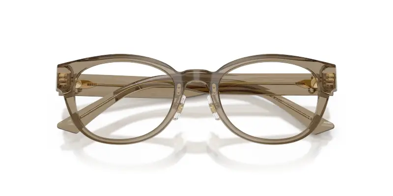 Donna Jimmy Choo JC3058D 5051 Montature da vista Acetato Marrone Trasparente Pantos Normale miniatura 2