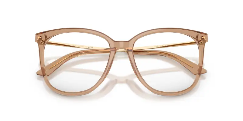 Donna Jimmy Choo JC3060 5076 Montature da vista Acetato Marrone Trasparente Pantos Normale miniatura 2
