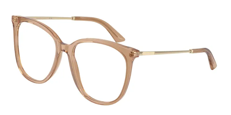 Donna Jimmy Choo JC3060 5076 Montature da vista Acetato Marrone Trasparente Pantos Normale