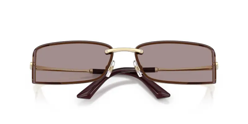 Jimmy Choo Occhiali da sole Donna Marrone 4305911 miniatura 2