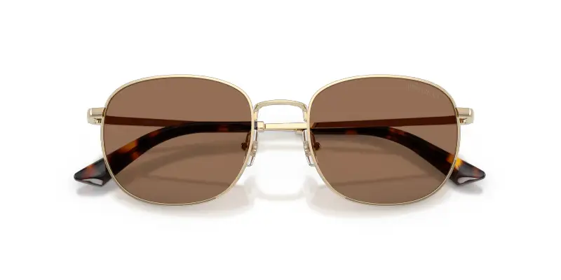 Jimmy Choo Occhiali da sole Donna Marrone 4305908 miniatura 2