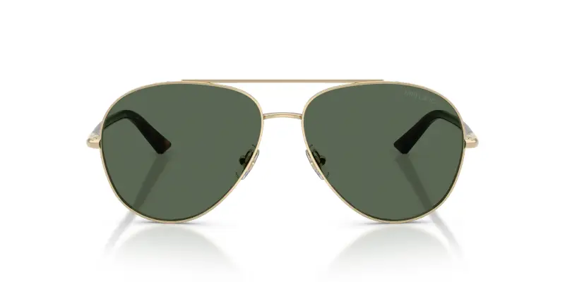 Jimmy Choo Occhiali da sole Donna Oro 4305905 miniatura 3