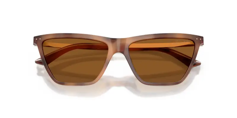 Jimmy Choo Occhiali da sole Donna Marrone 4302277 miniatura 2