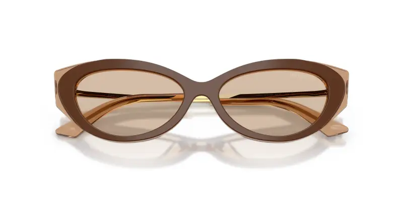 Jimmy Choo Occhiali da sole Donna Marrone 4302276 miniatura 2