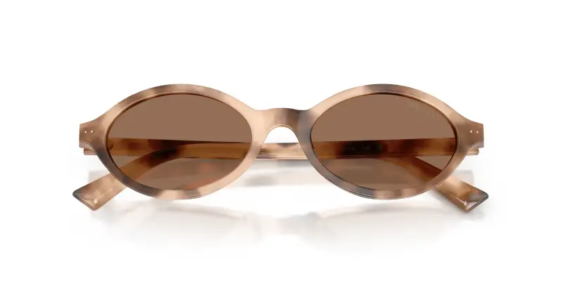 Jimmy Choo Occhiali da sole Donna Marrone 4302272 miniatura 2