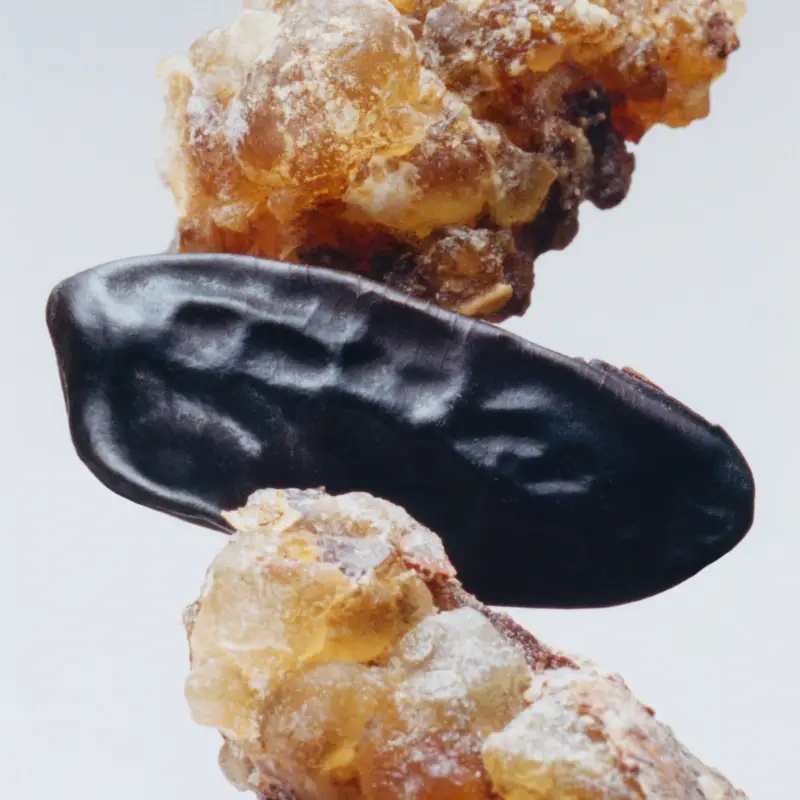 Candele Myrrh & Tonka 200g - - Candele profumate miniatura 4