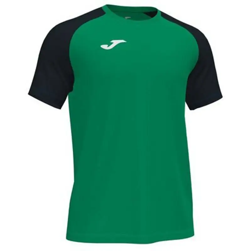 Maglia Joma Academy IV Vert