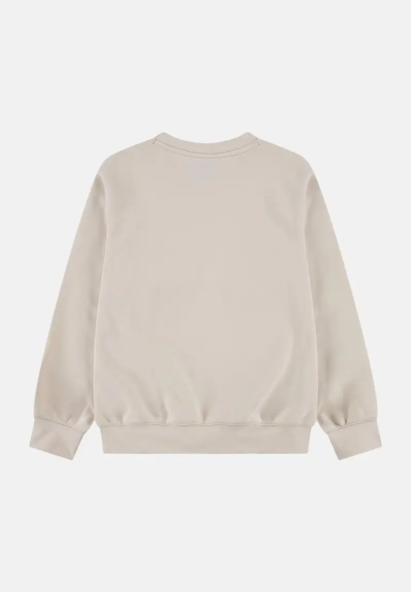 Felpa girocollo Jordan Brooklyn Fleece beige per bambino e bambina miniatura 2