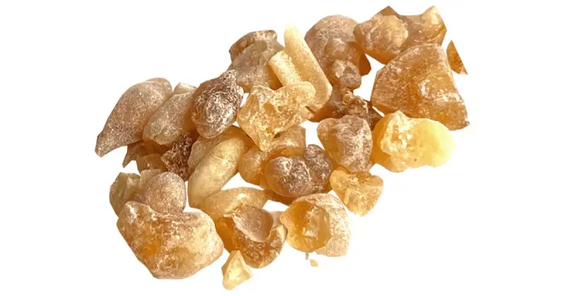 Oman Gold incenso 20 g