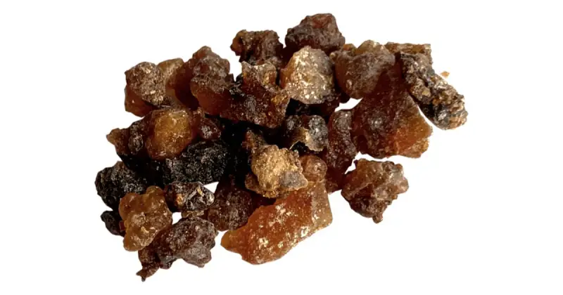 Oman Myrrh incenso 20 g