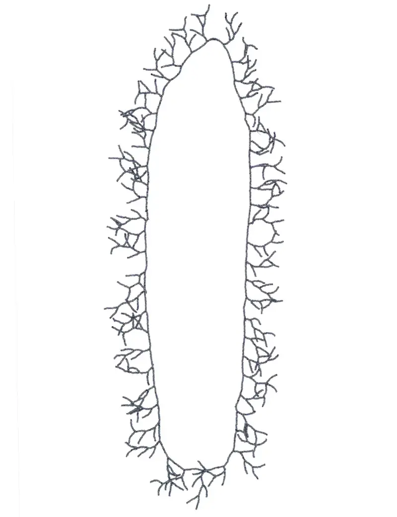 Donna JACBJ0001-K420-1272 100000