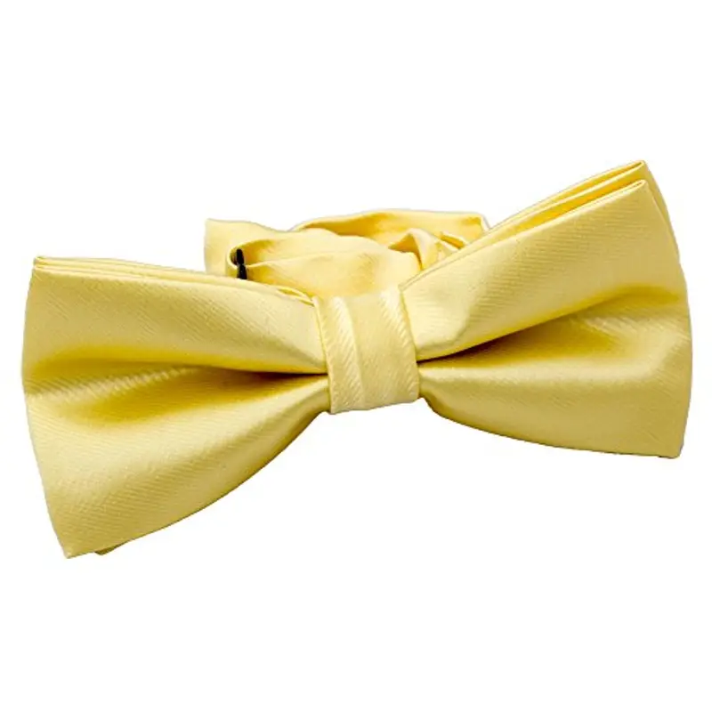 Kajeer Papillon Giallo 1960023 miniatura 3