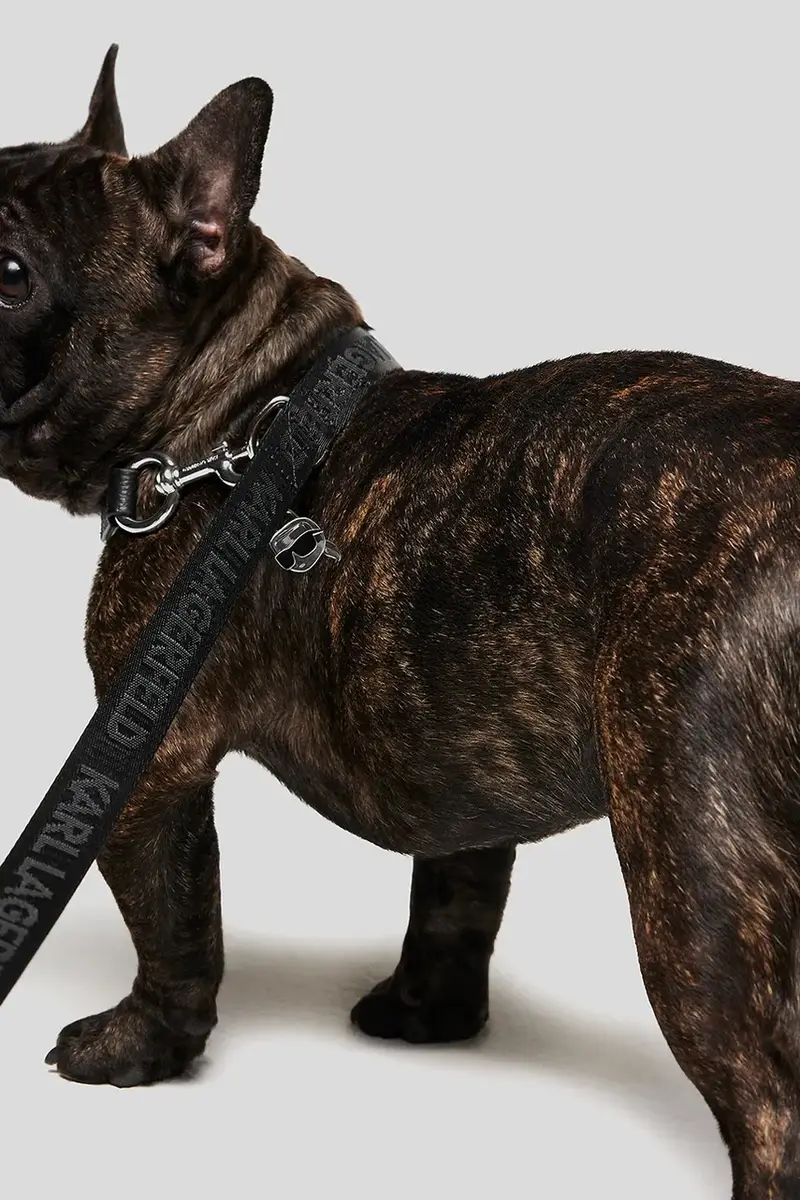 guinzaglio per cani con custodia Ikon Nero miniatura 5