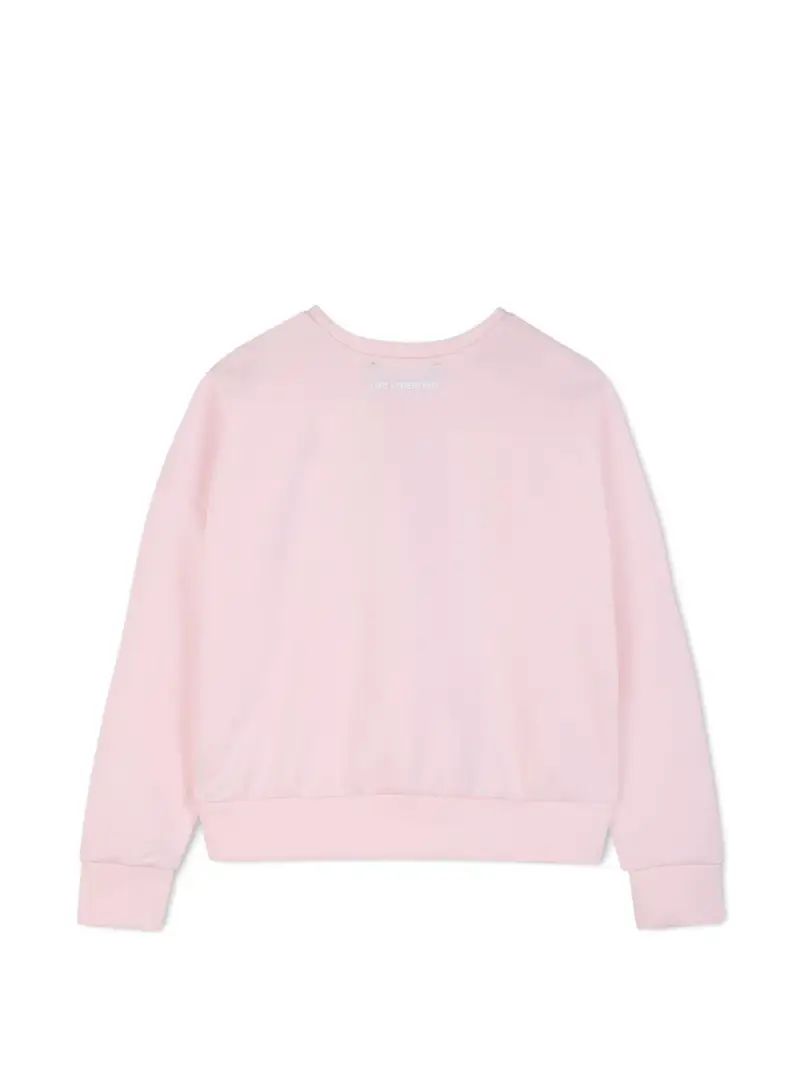 Z3113646F Rosa miniatura 2