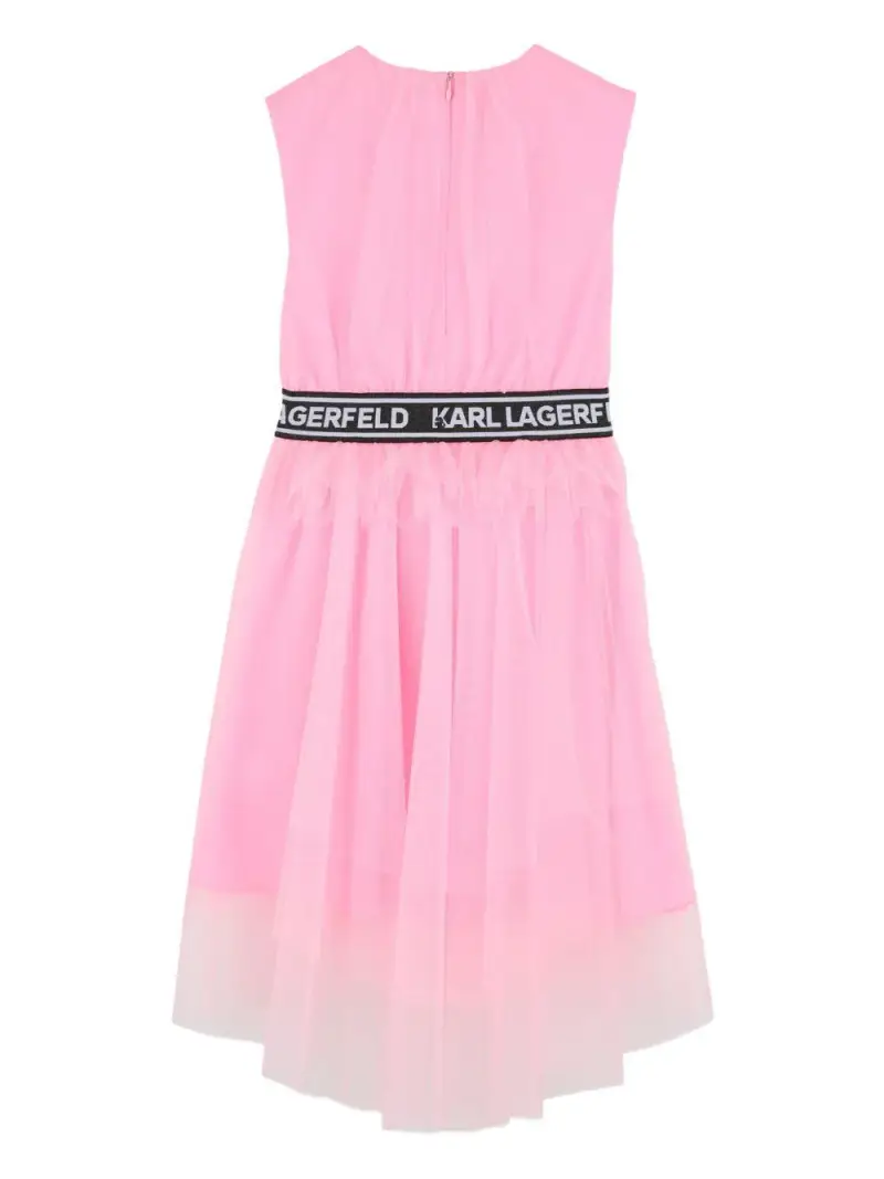 Z31147462 Rosa miniatura 2