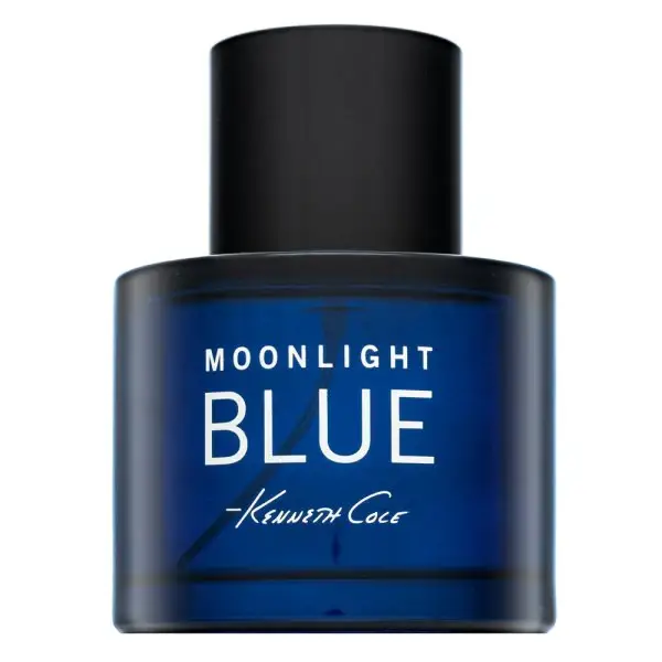 Moonlight Blue EDT M 100 ml