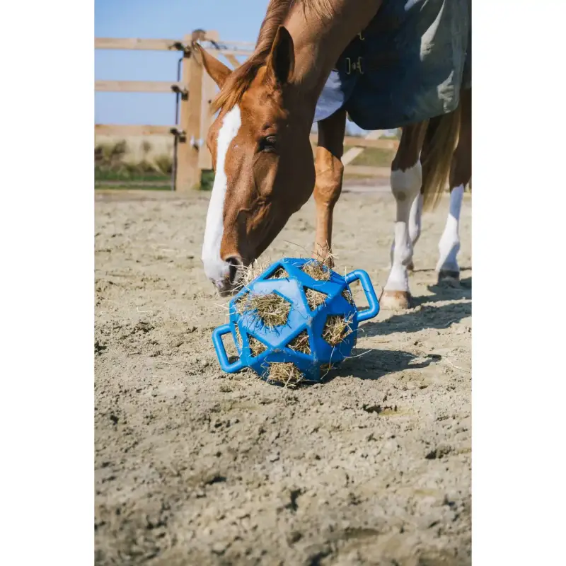 Palla portafieno Kentucky