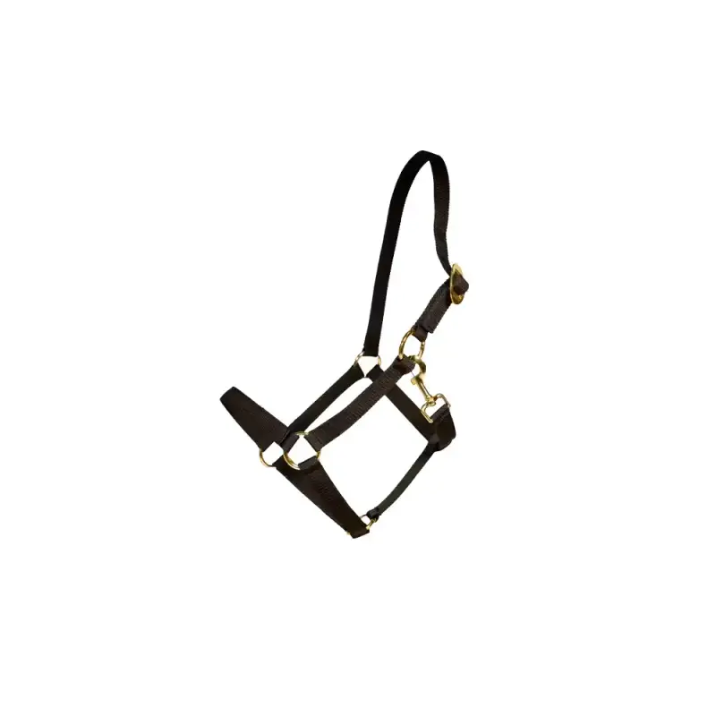 Testiera in nylon per cavallo Kentucky