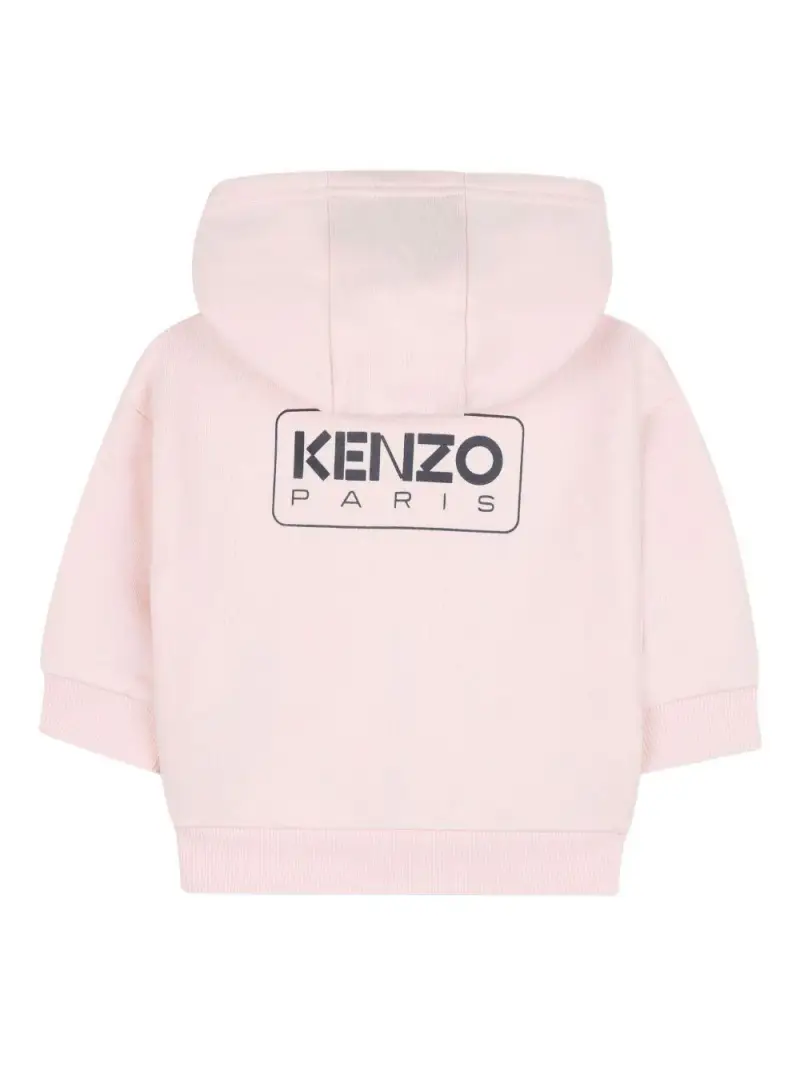 K6151346M Rosa pallido miniatura 2