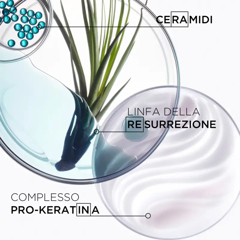 Résistance Bain Force Architecte - Capelli fini, Capelli danneggiati miniatura 4