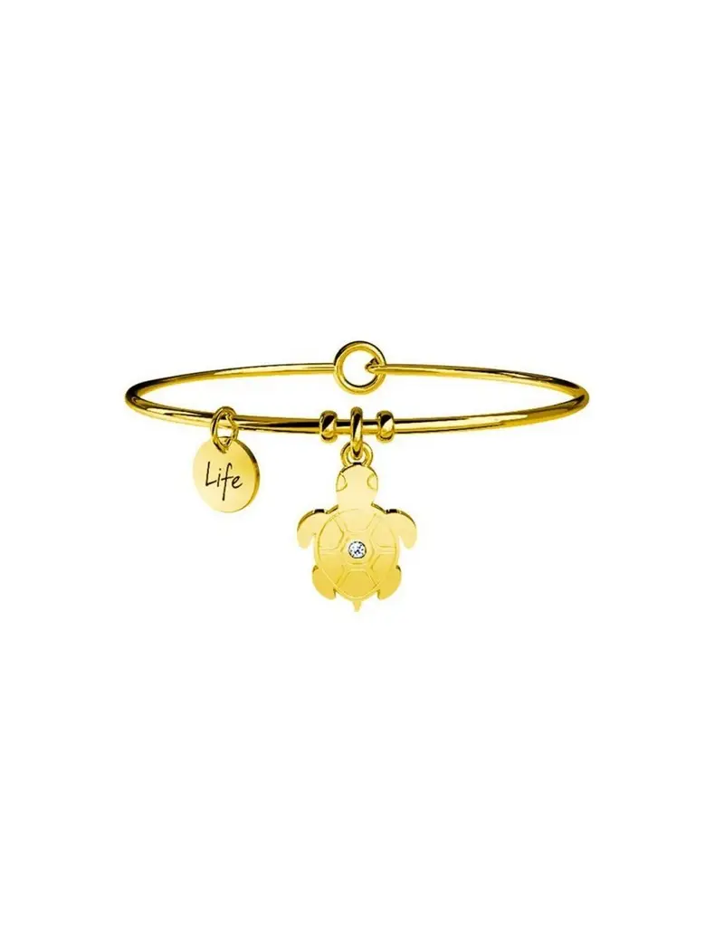 Bracciale KIDULT Life Collection ANIMAL PLANET Tartaruga - 231603 Saggezza