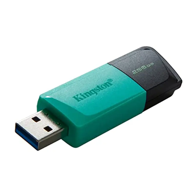 KINGSTON Pendrive USB 3.2 Gen 1 DTXM 256GB Nero e Verde Ottanio