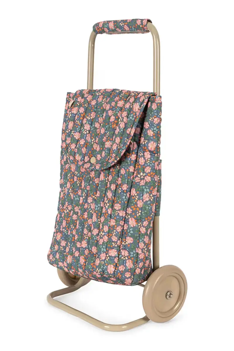 carrello giocattolo KIDS TROLLEY Multicolore miniatura 3