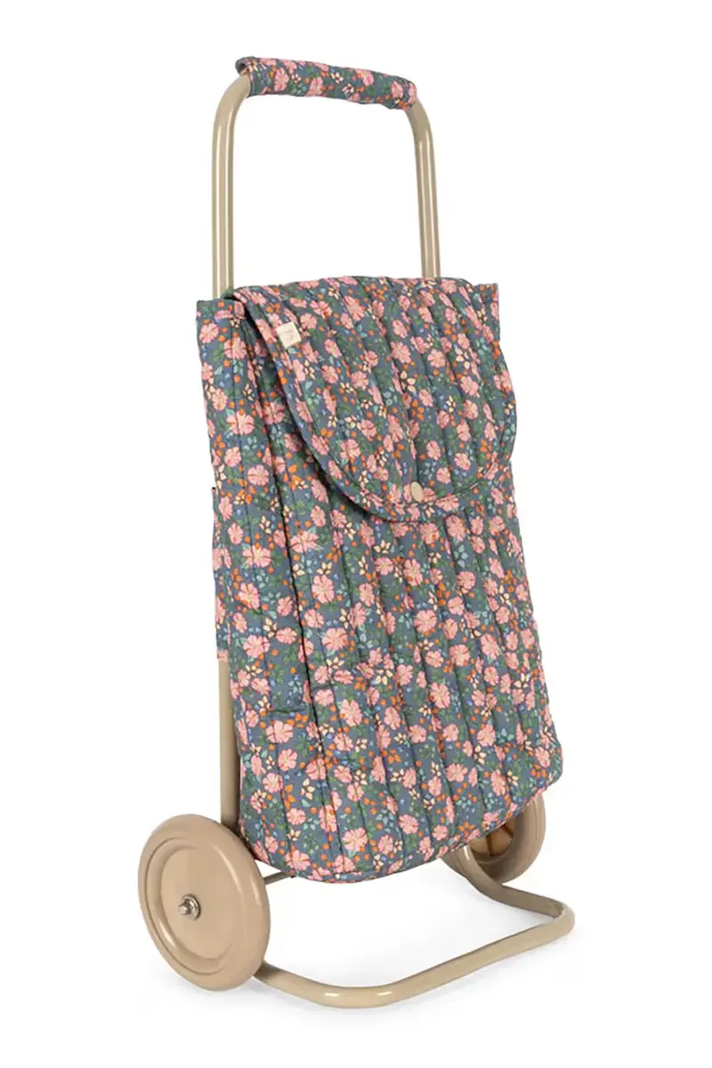 carrello giocattolo KIDS TROLLEY Multicolore