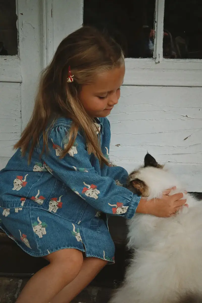 giacca per bambini in cotone MAGOT COLLAR JACKET GOTS Blu miniatura 5