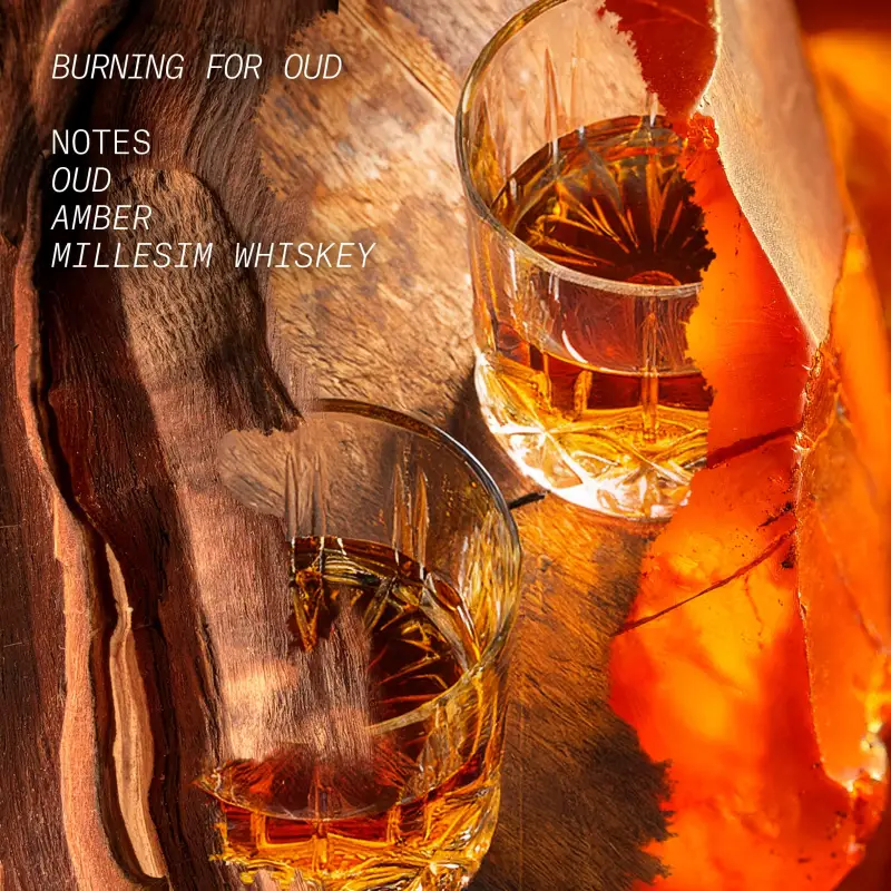 L'ATELIER PARFUM Eau de Parfum Donna Rosa 3020843 miniatura 3