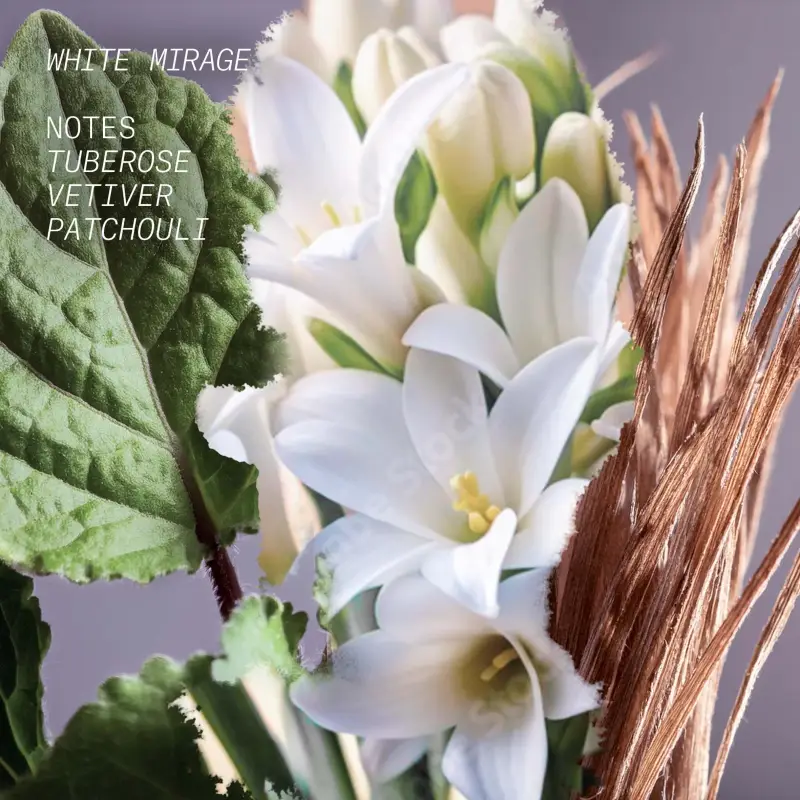 L'ATELIER PARFUM Eau de Parfum Donna 3020838 miniatura 3