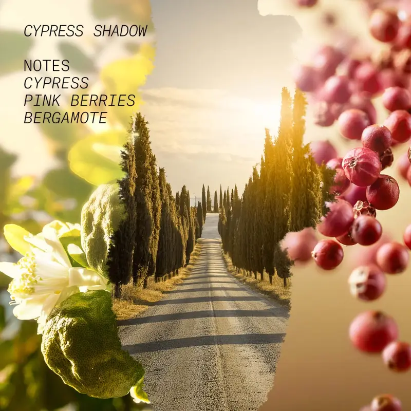 L'ATELIER PARFUM Eau de Parfum Uomo Rosa 3020844 miniatura 2