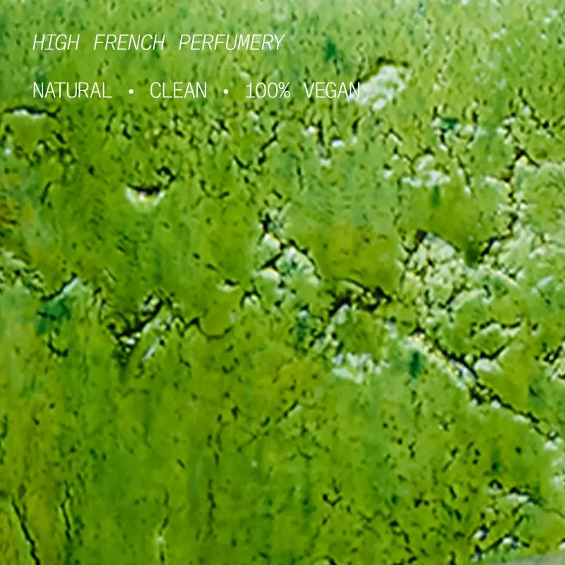 L'ATELIER PARFUM Eau de Parfum Donna Verde 3020845 miniatura 4