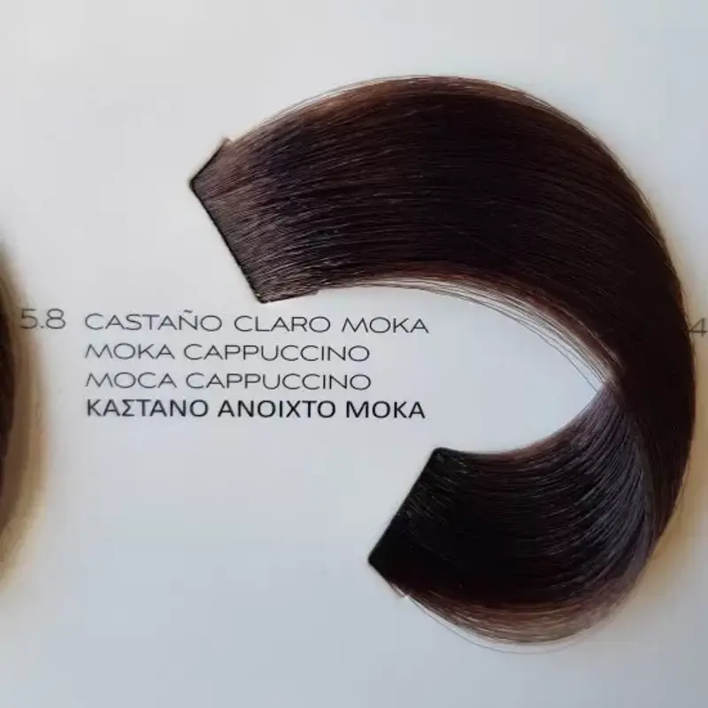 L'Oréal Dia Richesse - 5.8 - Moka cappuccino