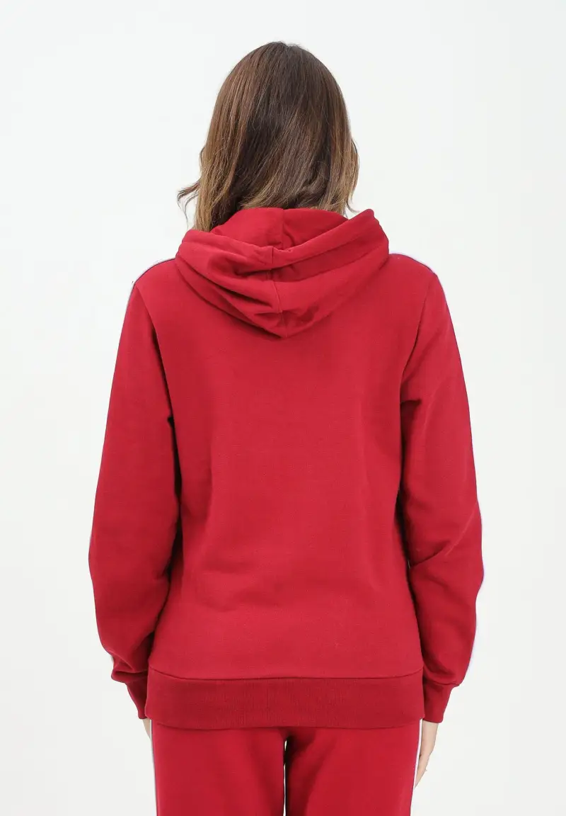 Felpa con cappuccio bordeaux per uomo e donna rifinita da righe logate miniatura 3