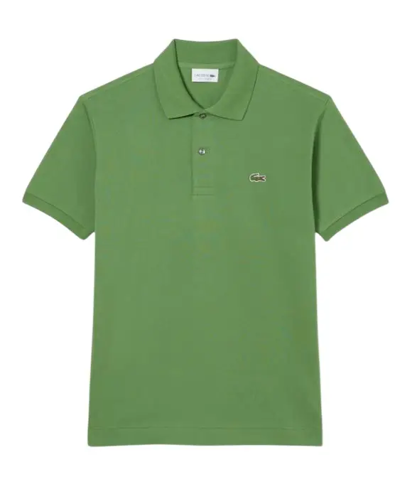 T-shirt e Polo Verde Verde Blu e verdi