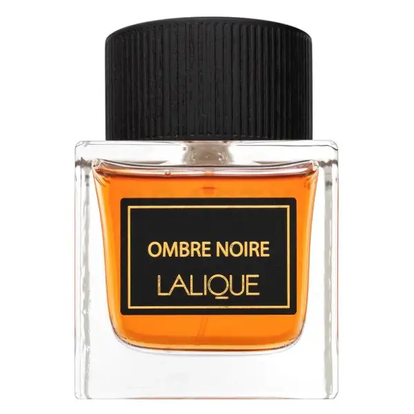 Ombre Noire EDP M 100 ml