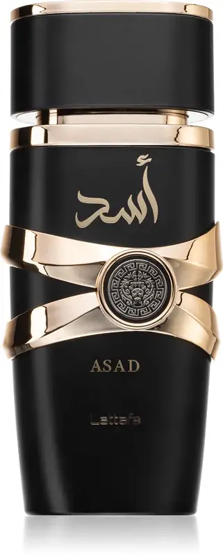 Asad EDP U 100 ml