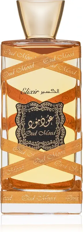 Oud Mood Elixir EDP U 100 ml