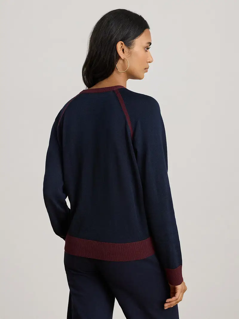 Pullover navy / marrone / borgogna / bianco miniatura 3