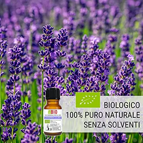 Lavanda vera Officinalis Bio Olio essenziale 100% Puro 10 ml - Uso interno Terapeutico Alimentare Diffusori miniatura 2
