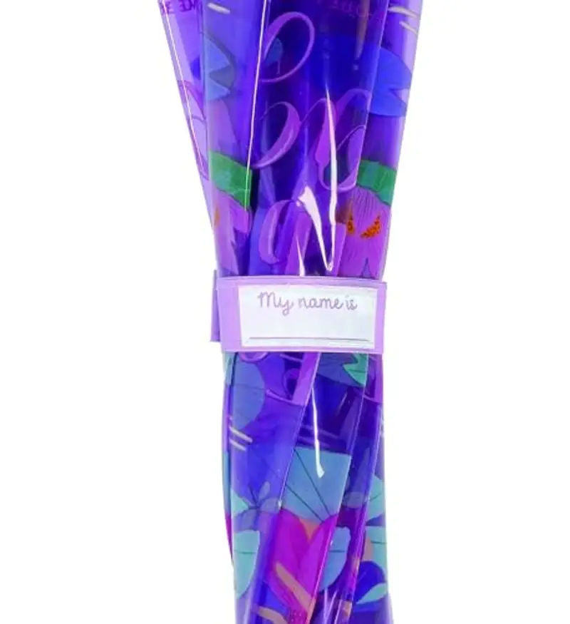 Legami - Ombrello per Bambini Dancin' In The Rain, Tema Fairy, Struttura Antivento, Apertura manuale, Chiusura in Tessuto con Spazio per Nome, Impugnatura a Gancio, 73x65 cm miniatura 3