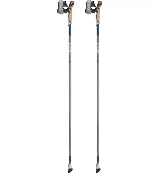 Smart Flash - bastoncini nordic walking Grey
