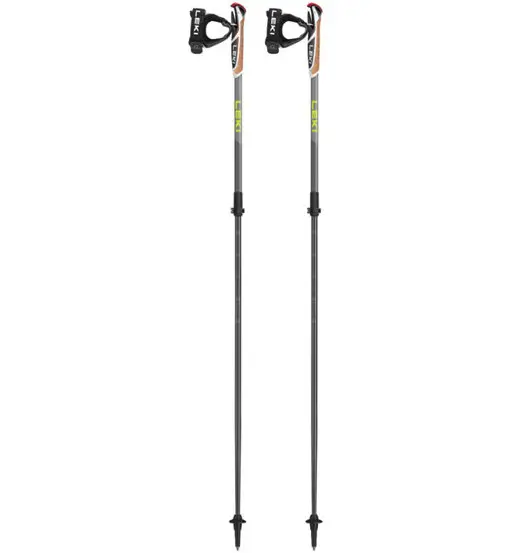 Spin Shark SL - bastoncini nordic walking Grey
